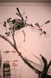 14_PICT0005