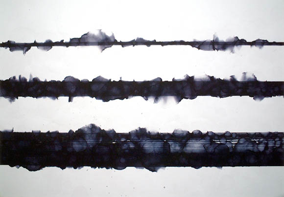 38_linien